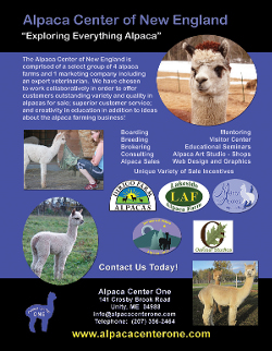 Alpaca Center of New England Poster
